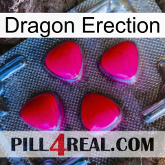 Dragon Erection 13